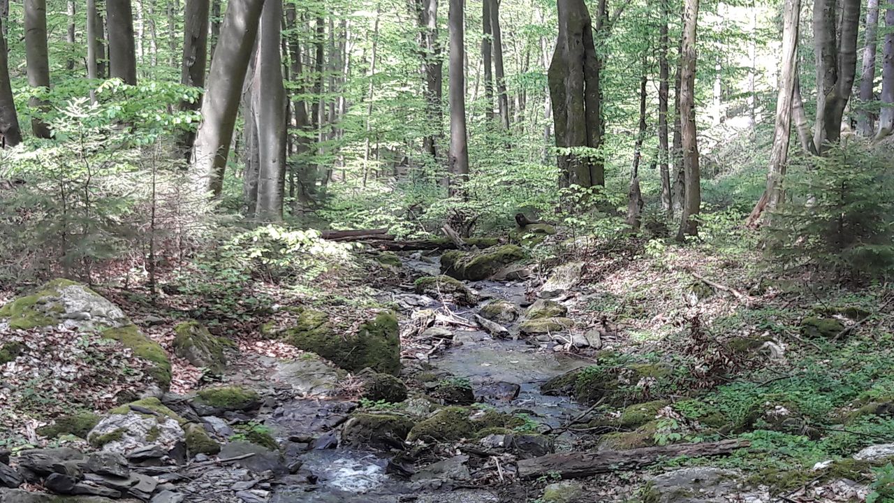 Wanderweg 6 Wanderweg 6